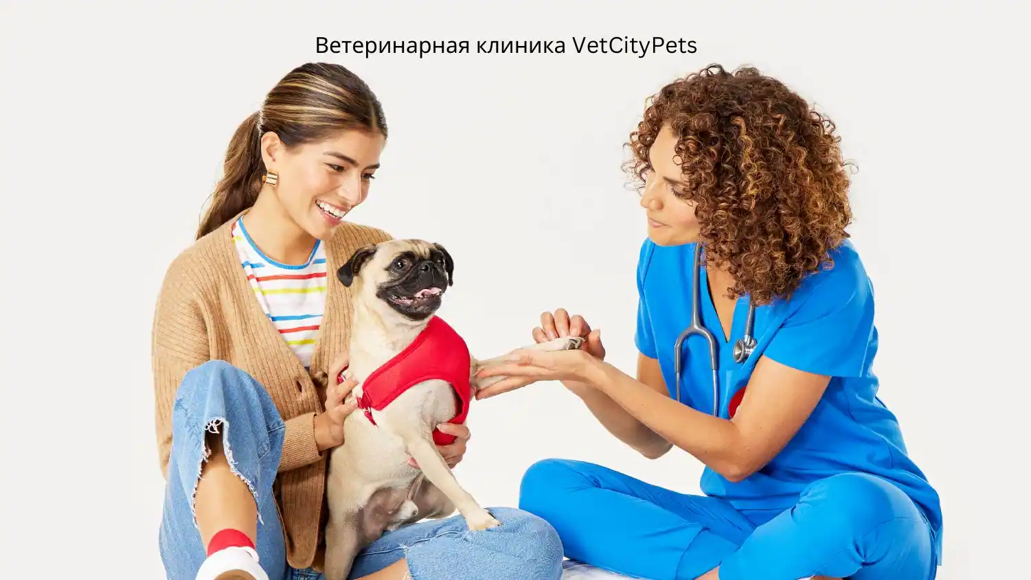 VetCityPets Veterinary Clinic: Professional Care for Your Pets